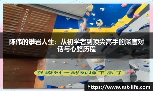 陈伟的攀岩人生：从初学者到顶尖高手的深度对话与心路历程