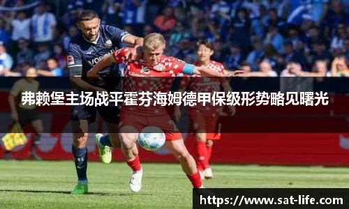 弗赖堡主场战平霍芬海姆德甲保级形势略见曙光